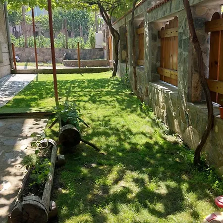 Apartman бащината къща Szapareva Banja